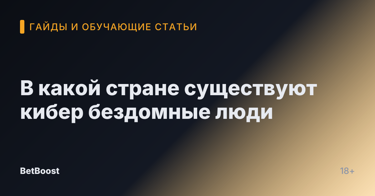 В какой стране существуют кибер бездомные люди