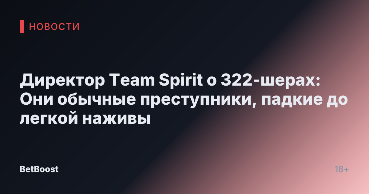 Директор Team Spirit о 322-шерах: Они обычные преступники, падкие до легкой наживы