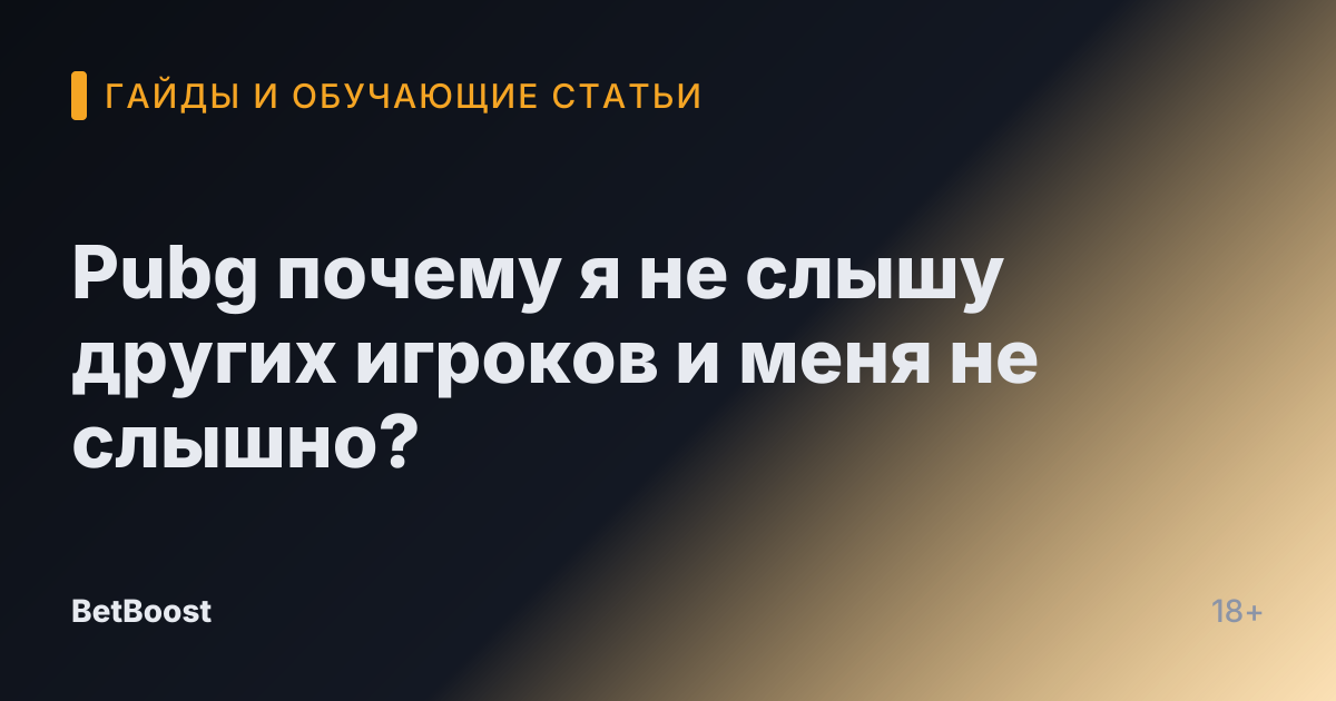 Pubg почему я не слышу других игроков и меня не слышно?