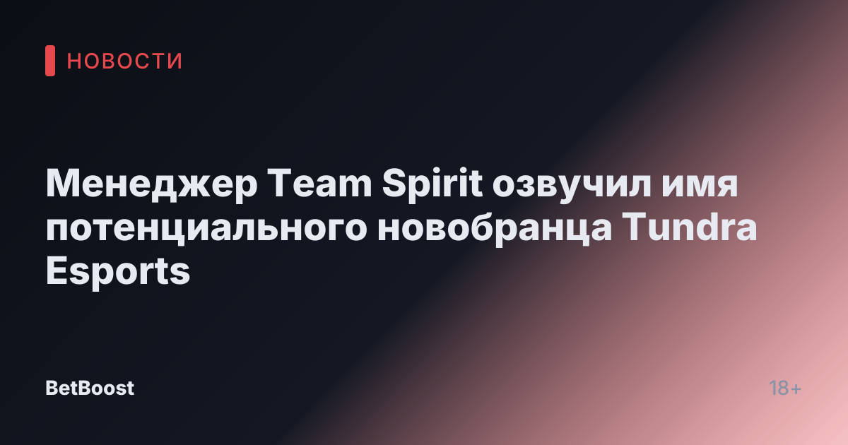 Менеджер Team Spirit озвучил имя потенциального новобранца Tundra Esports