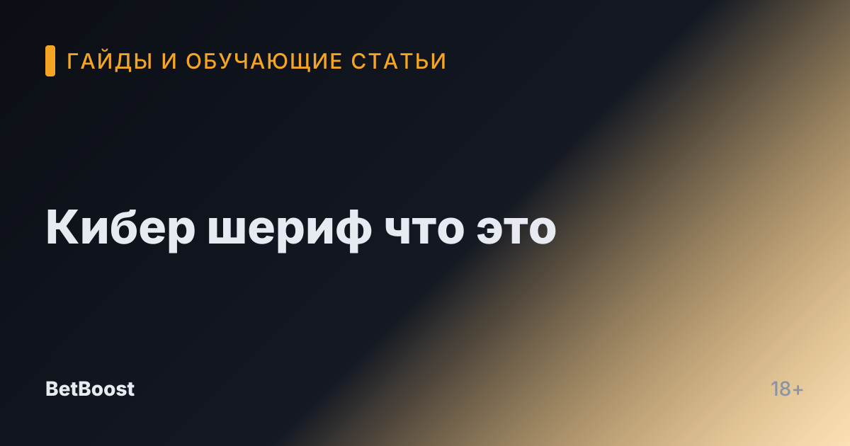 Кибер шериф что это