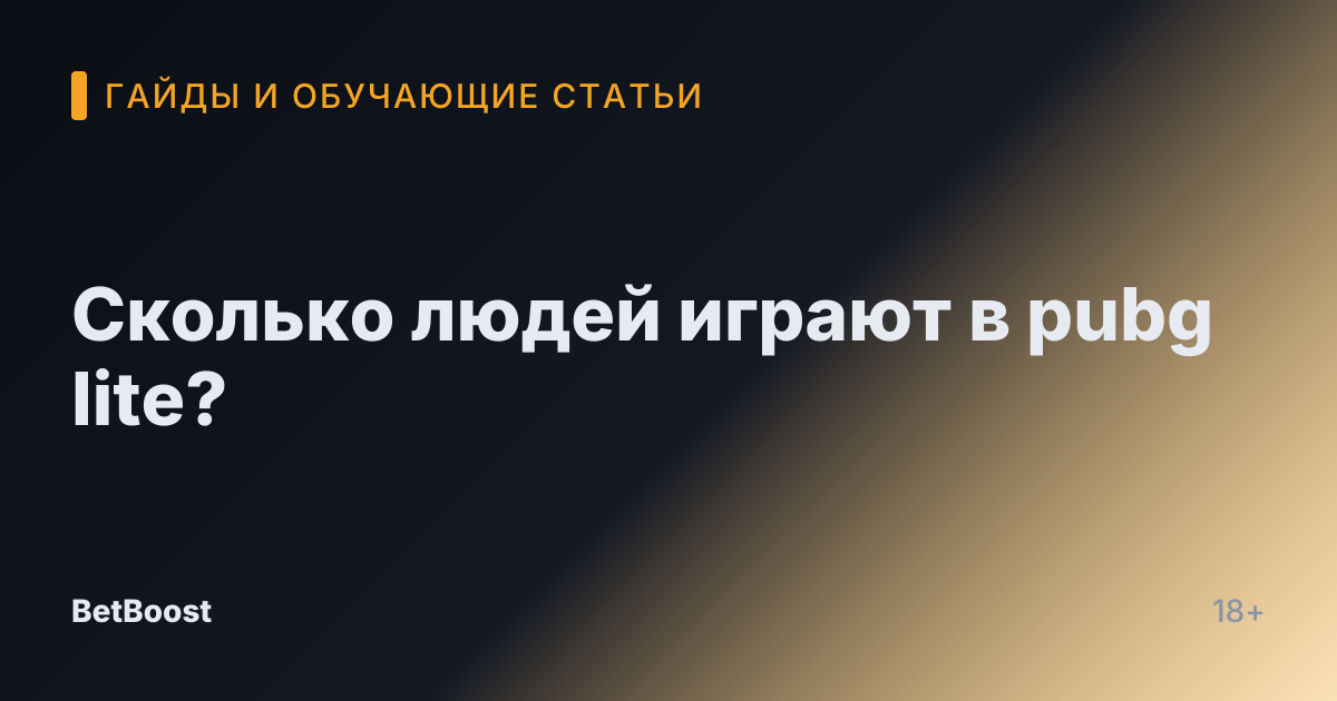 Сколько людей играют в pubg lite?
