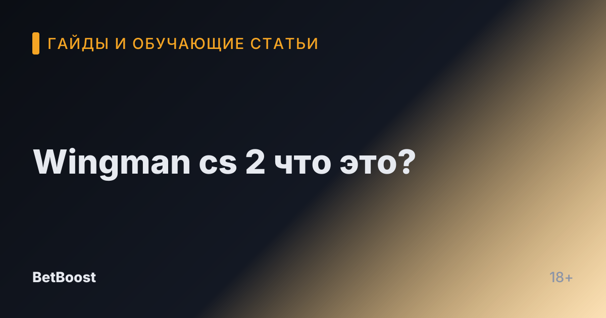 Wingman cs 2 что это?