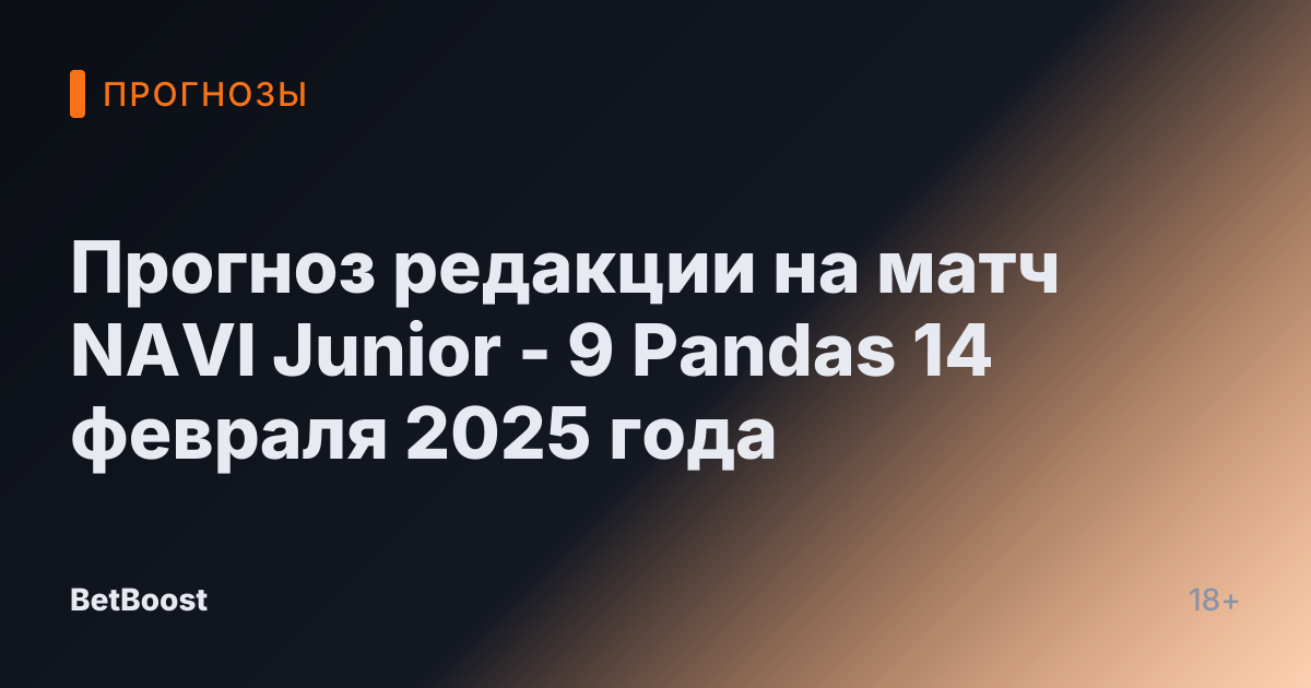 Прогноз редакции на матч NAVI Junior - 9 Pandas 14 февраля 2025 года