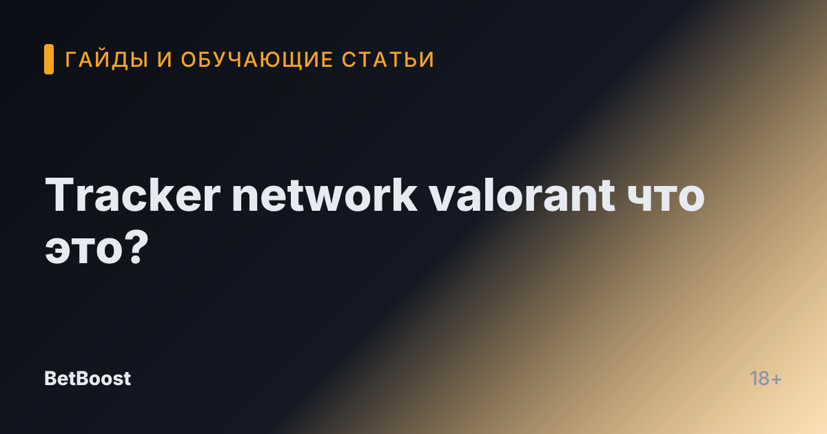 Tracker network valorant что это?