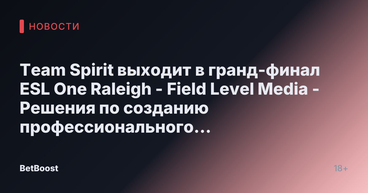Team Spirit выходит в гранд-финал ESL One Raleigh - Field Level Media - Решения по созданию профессионального спортивного контента