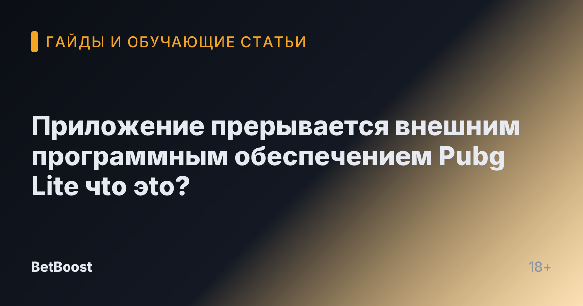 Приложение прерывается внешним программным обеспечением Pubg Lite чto эto?