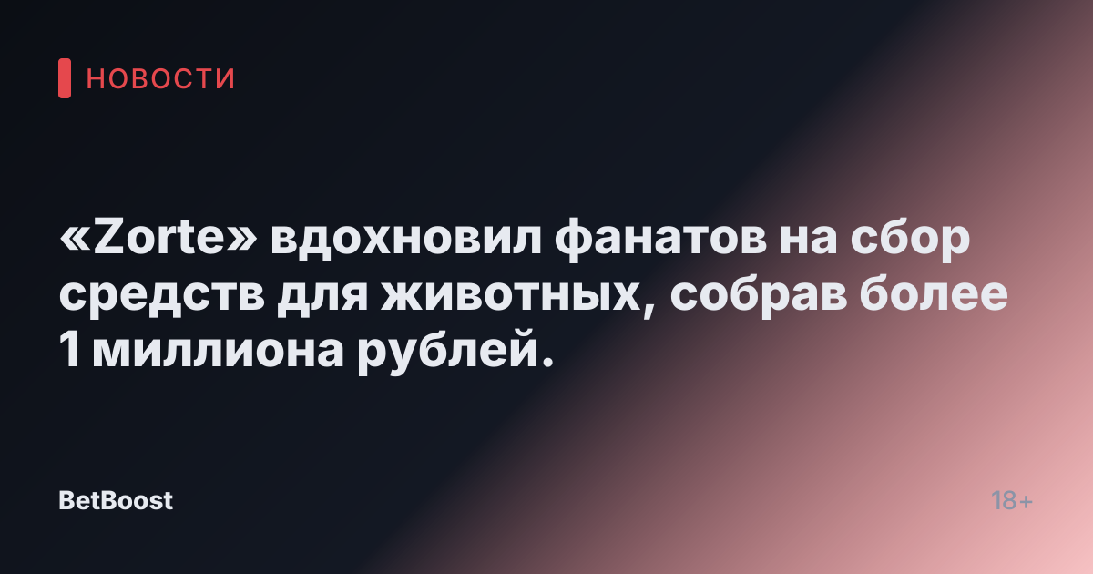 «Zorte» вдохновил фанатов на сбор средств для животных, собрав более 1 миллиона рублей.
