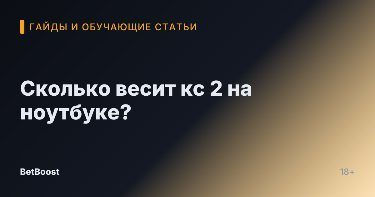 Сколько весит кс 2 на ноутбуке?