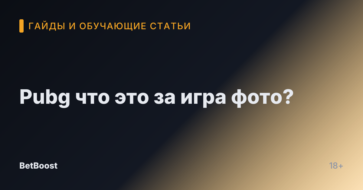 Pubg что это за игра фото?