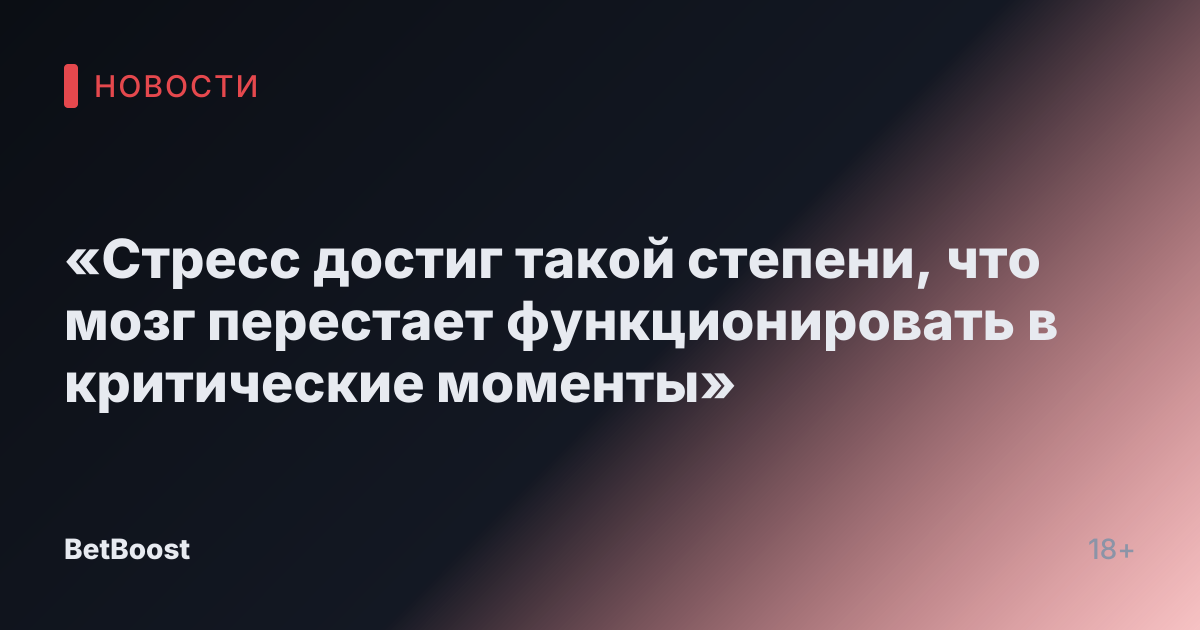«Стресс достиг такой степени, что мозг перестает функционировать в критические моменты»