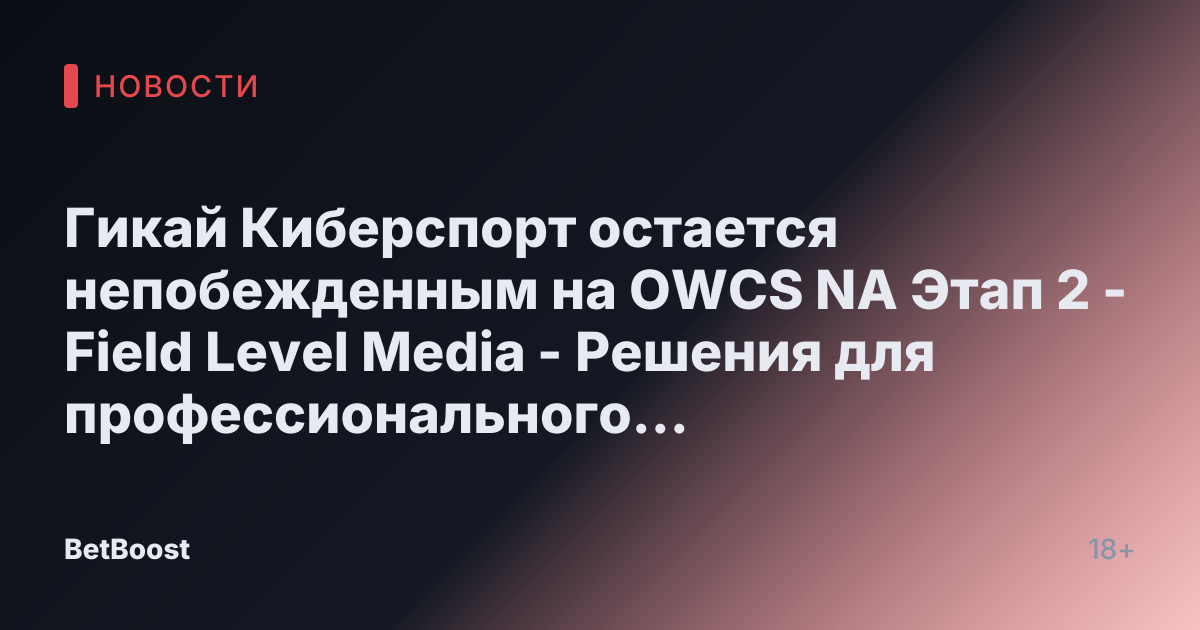 Гикай Киберспорт остается непобежденным на OWCS NA Этап 2 - Field Level Media - Решения для профессионального спортивного контента