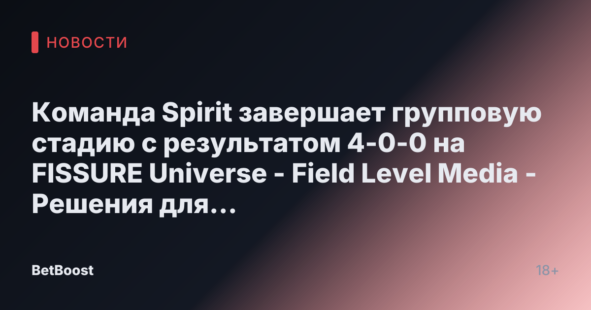 Команда Spirit завершает групповую стадию с результатом 4-0-0 на FISSURE Universe - Field Level Media - Решения для профессионального спортивного контента