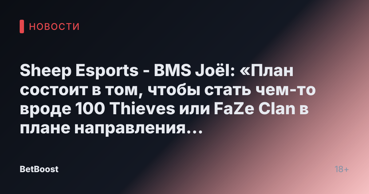 Sheep Esports - BMS Joël: «План состоит в том, чтобы стать чем-то вроде 100 Thieves или FaZe Clan в плане направления бренда»