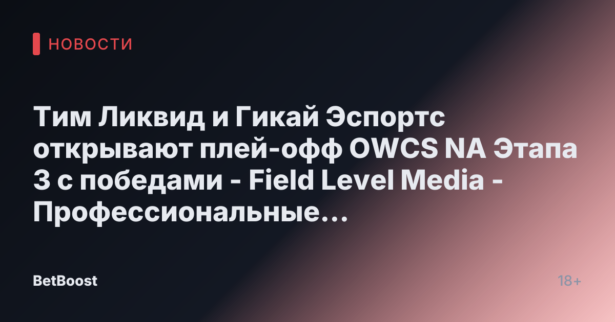 Тим Ликвид и Гикай Эспортс открывают плей-офф OWCS NA Этапа 3 с победами - Field Level Media - Профессиональные спортивные контент-решения