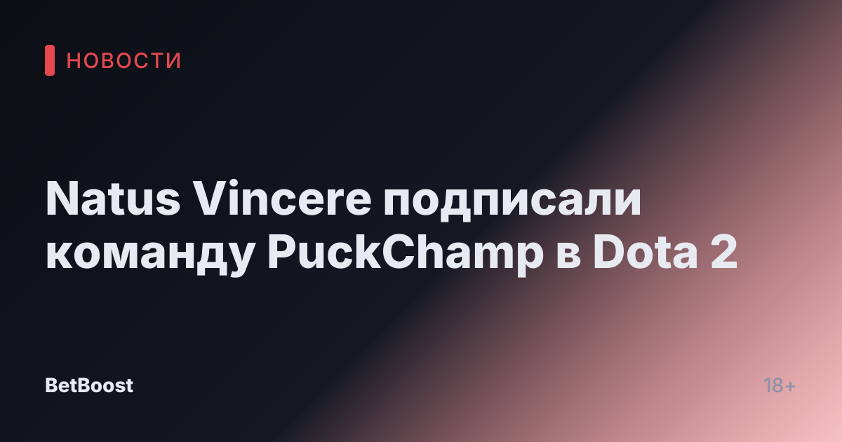 Natus Vincere подписали команду PuckChamp в Dota 2